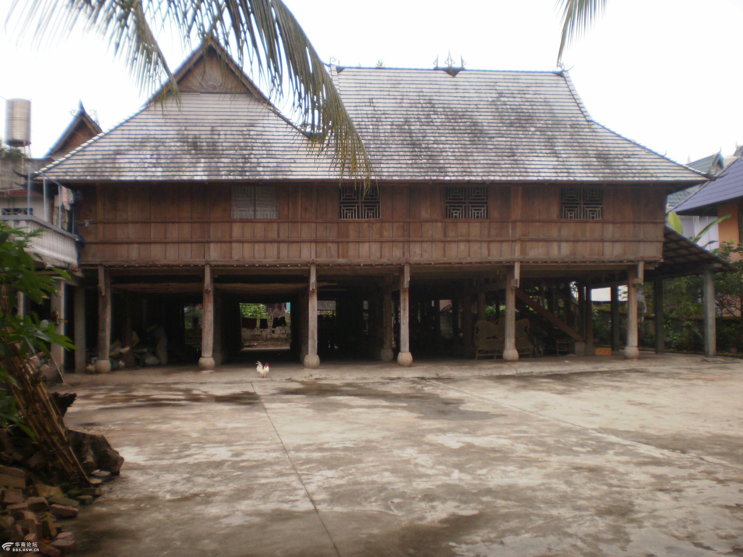 傣族村乱拍版纳游8