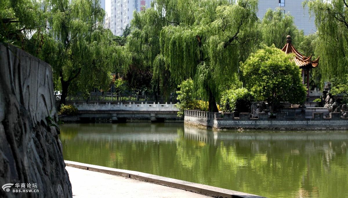 丈八沟风光2016年5月22日