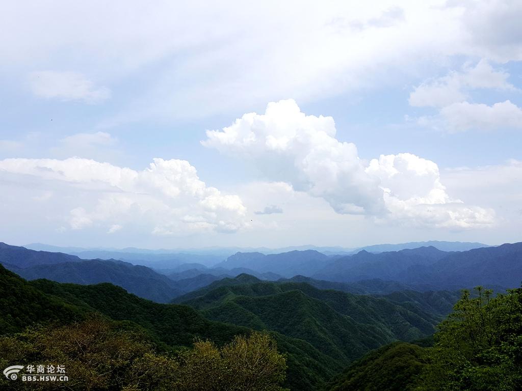 秦岭之库峪草甸