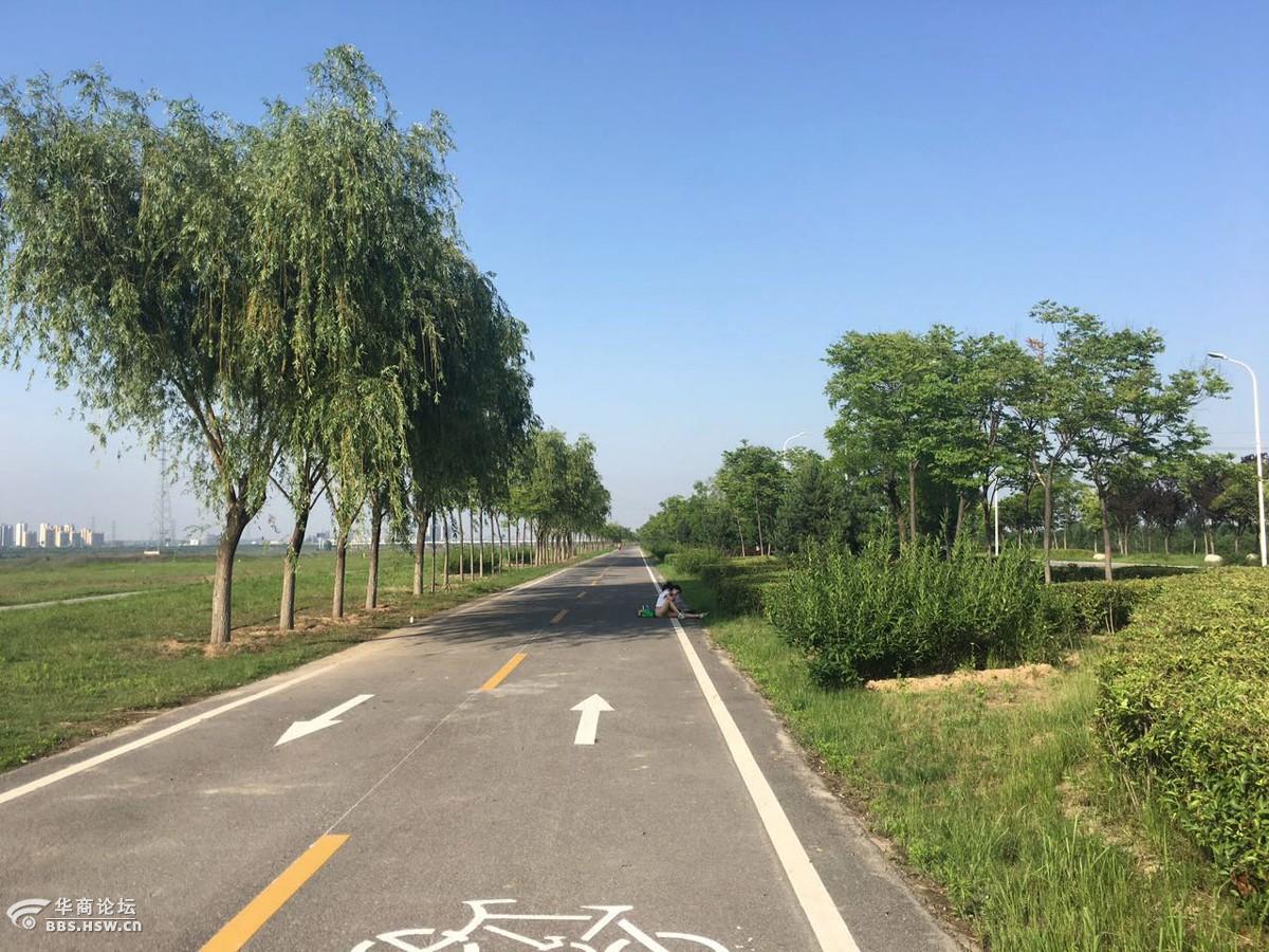西安渭河草滩拍鸟组图