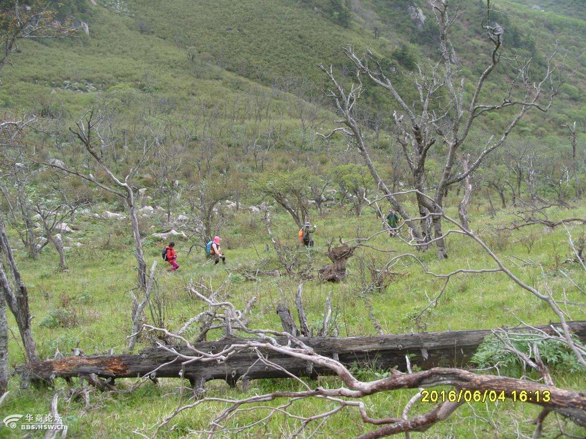 宁陕牛圈沟登跑马梁一路历经烈日狂风细雨