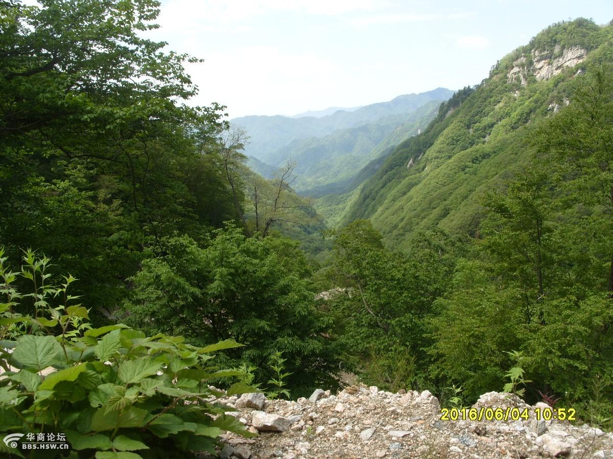 宁陕牛圈沟登跑马梁一路历经烈日狂风细雨