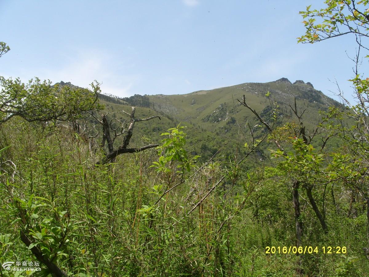 宁陕牛圈沟登跑马梁一路历经烈日狂风细雨