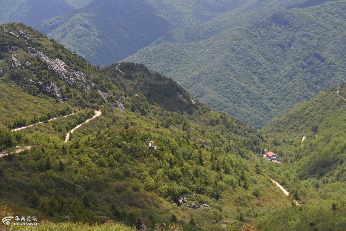 分水岭上风起云涌高山杜鹃绽开怒放